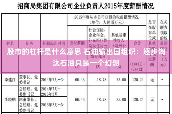 股市的杠杆是什么意思 石油输出国组织：逐步淘汰石油只是一个幻