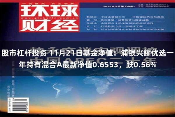 股市杠杆投资 11月21日基金净值：浦银兴耀优选一年持有混合