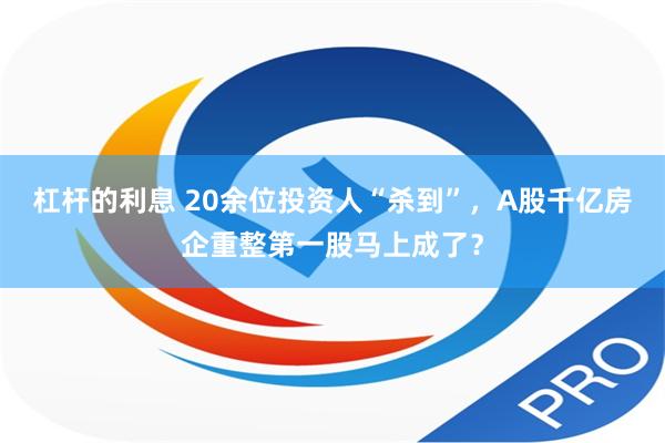 杠杆的利息 20余位投资人“杀到”，A股千亿房企重整第一股马