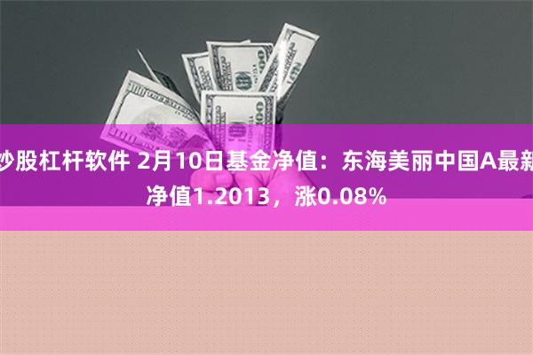 炒股杠杆软件 2月10日基金净值：东海美丽中国A最新净值1.