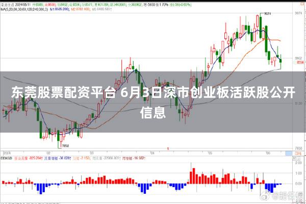 东莞股票配资平台 6月3日深市创业板活跃股公开信息